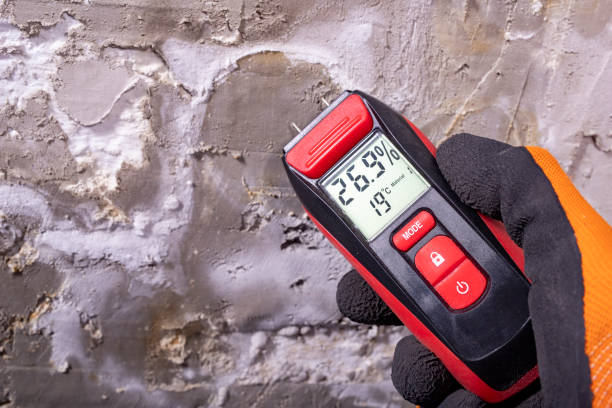 Best Residential Mold Removal  in San Jose, CA