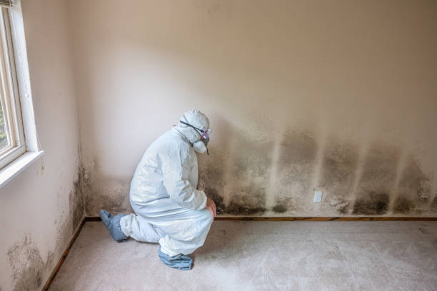 Best Mold Testing  in San Jose, CA