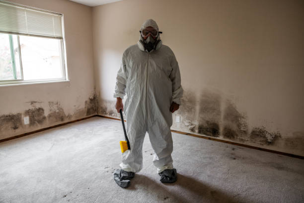 Best Certified Mold Removal  in San Jose, CA